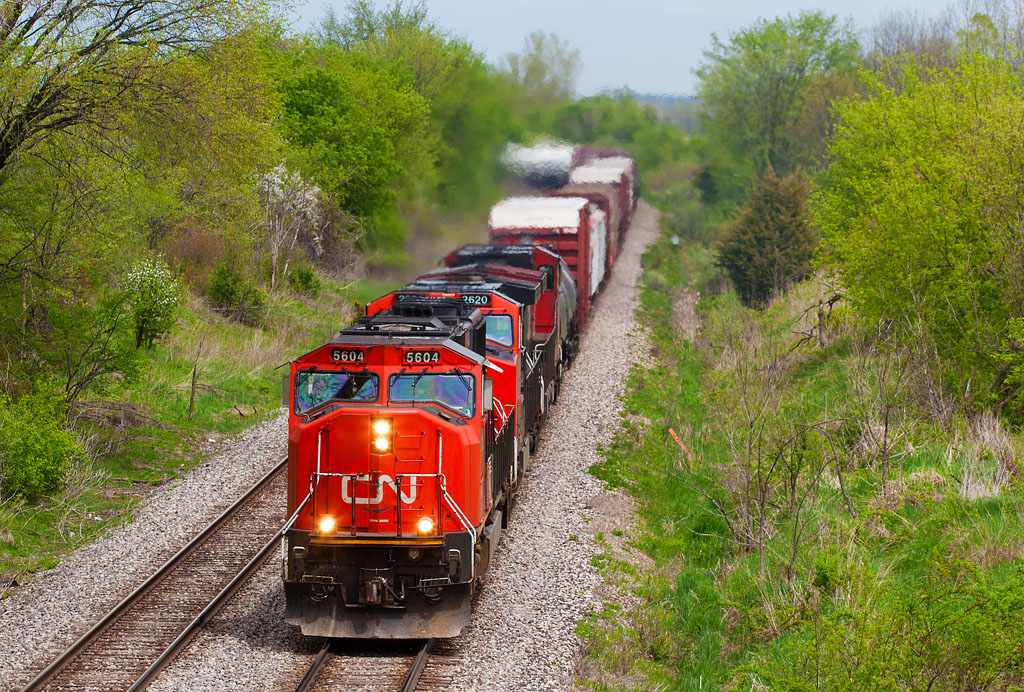 CN 5604
CN 5604 west under the Newberry Rd bridge.  05/09/09
