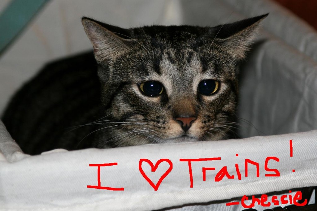 Trains
I love trains. I am a cat. I am named after a train; isn't that cool?
Keywords: kitty trains love