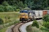 CSX7715-C40-8W_Island-Lake-State-Park-MI_07-23-2008a.JPG