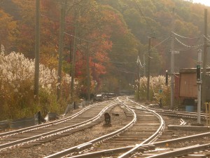 The mainline of the Branford Electric Railway on a fine fall morning!