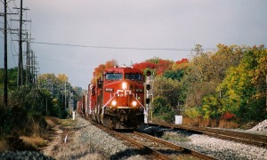 CP Red meets Fall Red at Hines Park